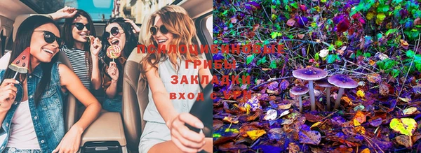 марки nbome Белокуриха