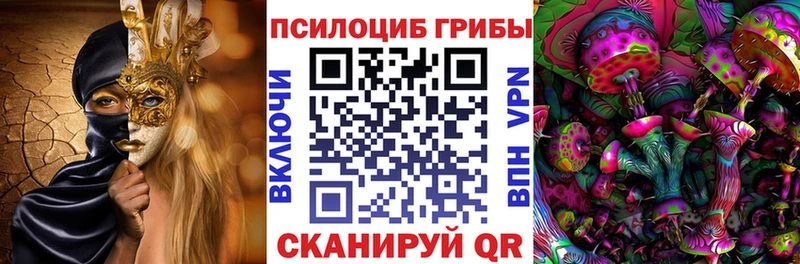 МЕГА ONION Электрогорск Галлюциногенные грибы Psilocybine cubensis